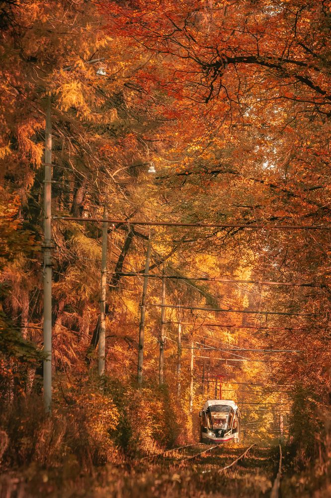 Фотография автора Анастасия Мазурева