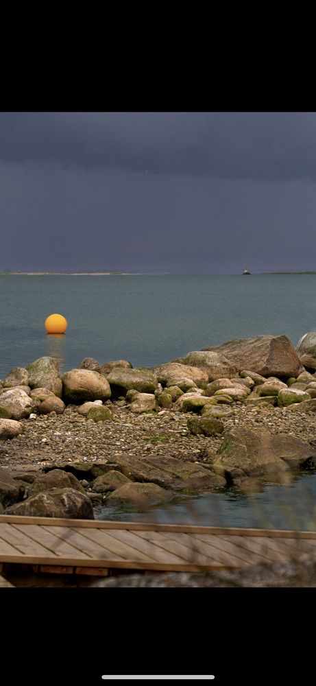 Фотография автора Alyona Madsen