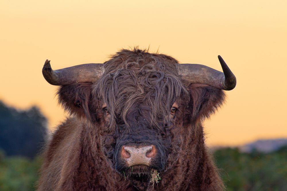 Фотография автора Alyona Madsen