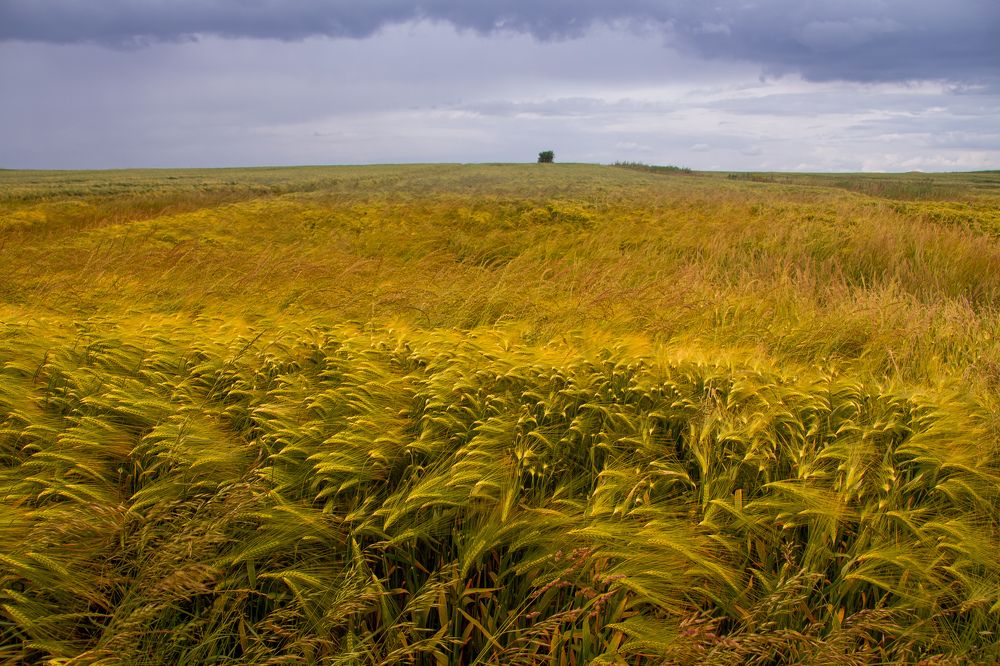 Фотография автора Alyona Madsen