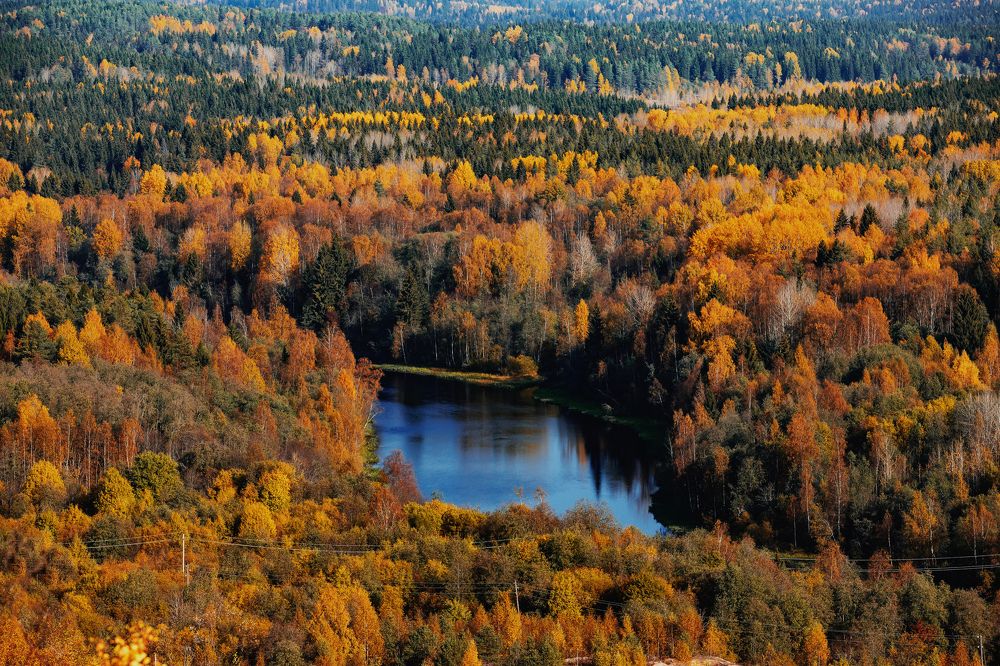 Фотография автора Андрей Чипан