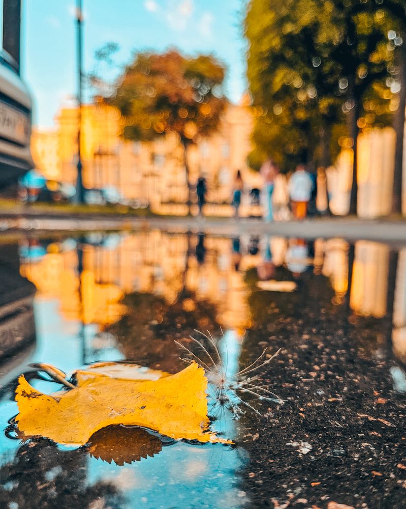 Photograph by Alexandra Sergeeva