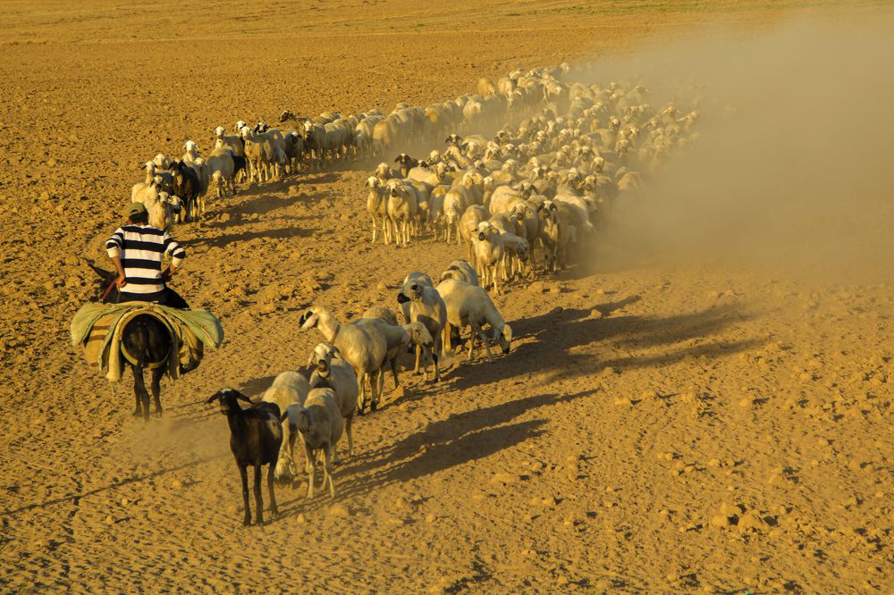 Photograph by Nesrin Ates