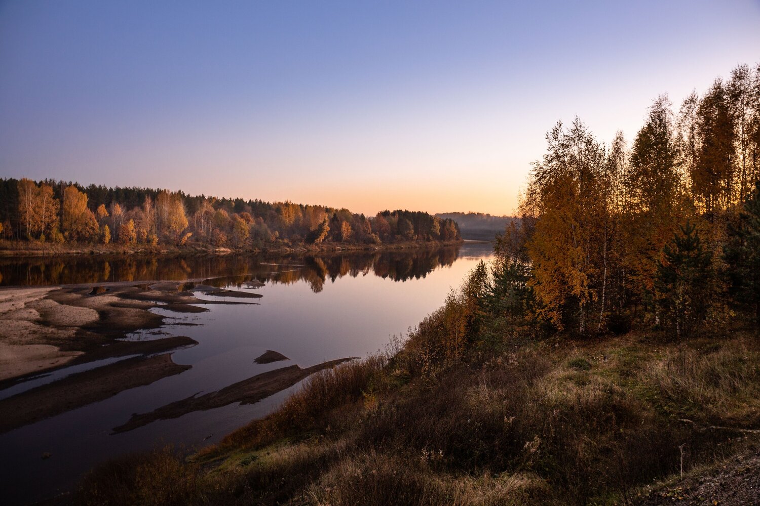 Photo #11140370