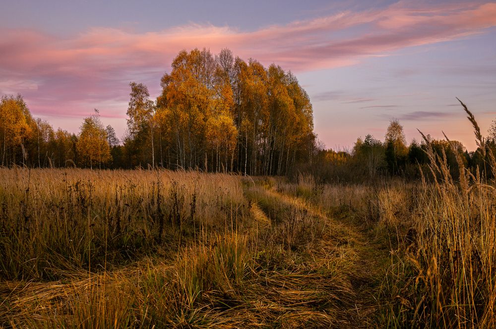 Photograph by Nesterov Konstantin