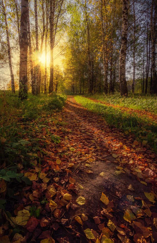 Photograph by Елена Рубинская