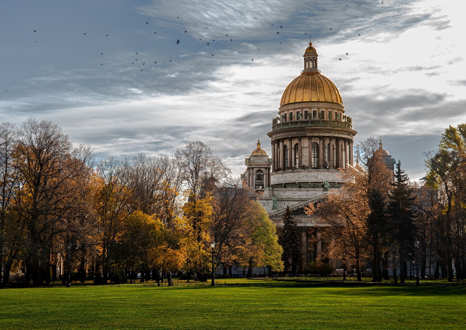Photo #11140381