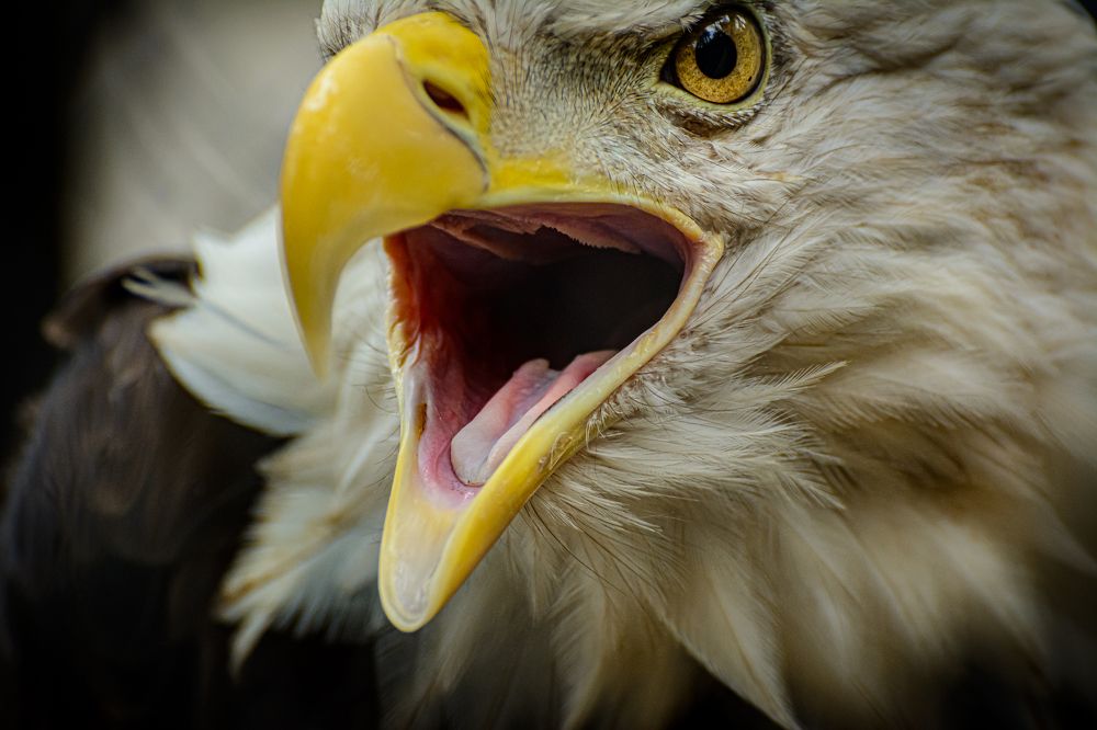 Photograph by Елена Берсенёва