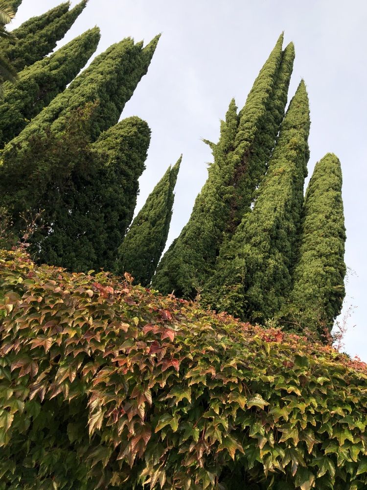 Photograph by Мария Бессмертная