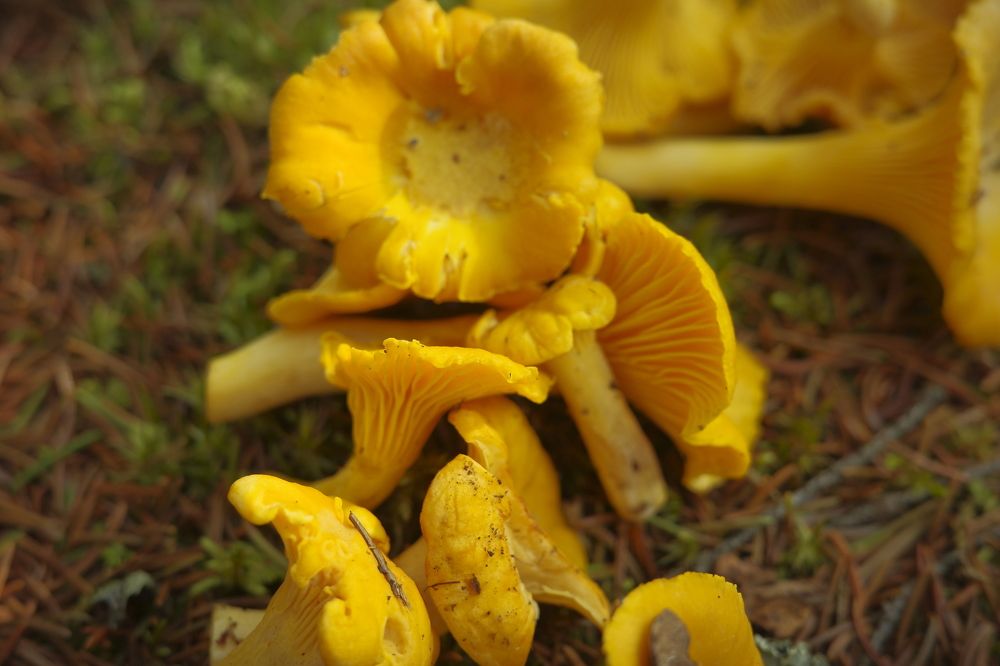 Photograph by Yana Egorova