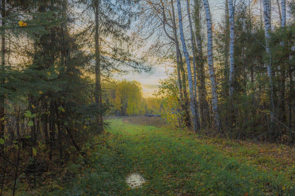 Photograph by Кокорин Алексей