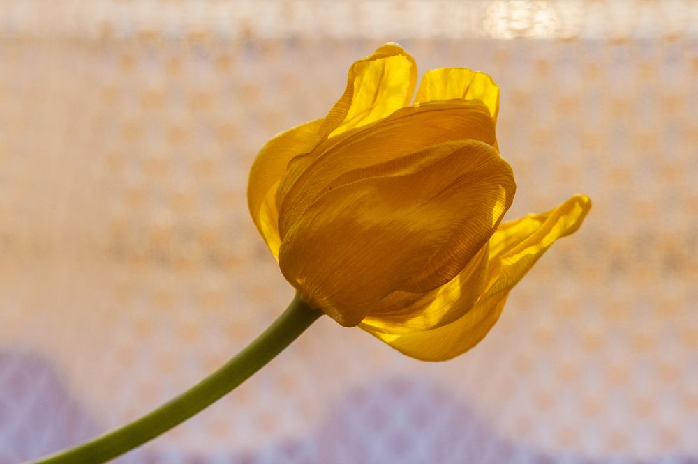 Photograph by Татьяна Каскевич