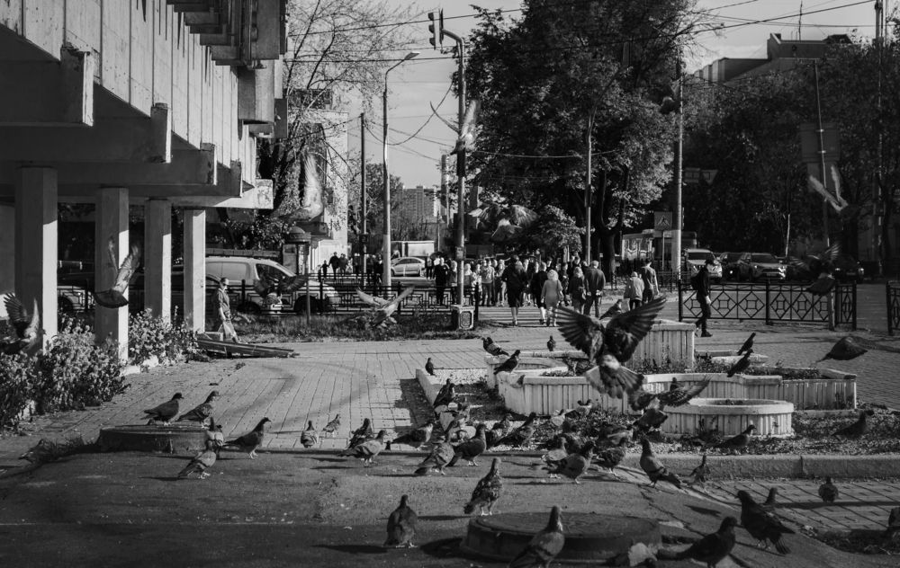 Photograph by Nick Black