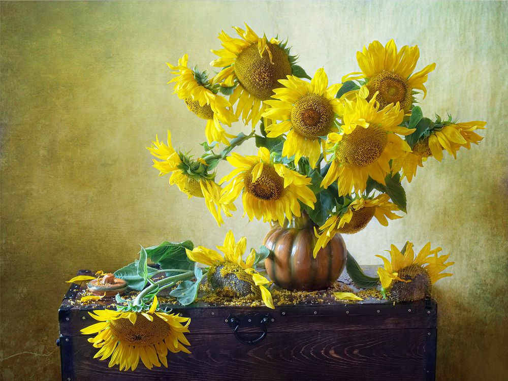 Photograph by Миронова Мила