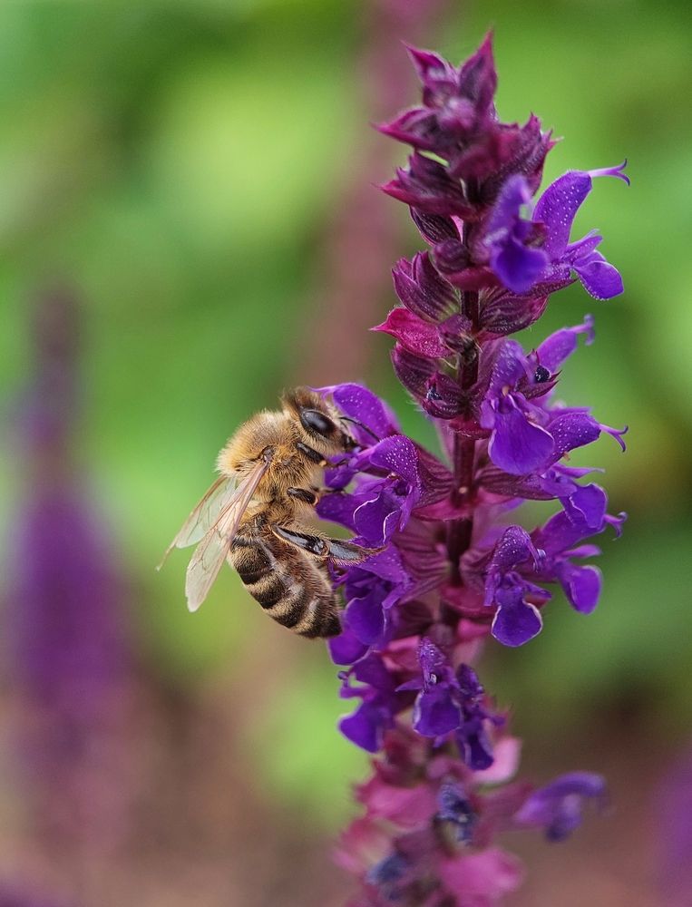 Photograph by Данила Черезов