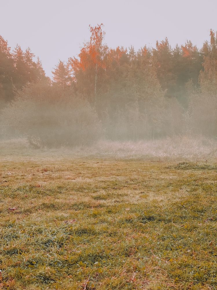 Photograph by Svetlana