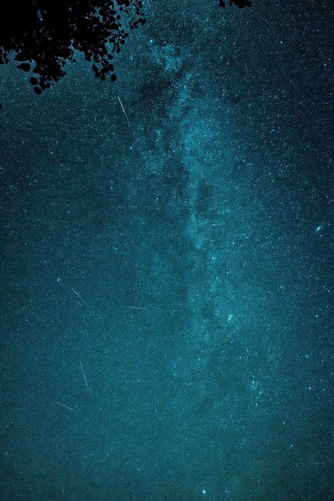 Photograph by Jan Musil