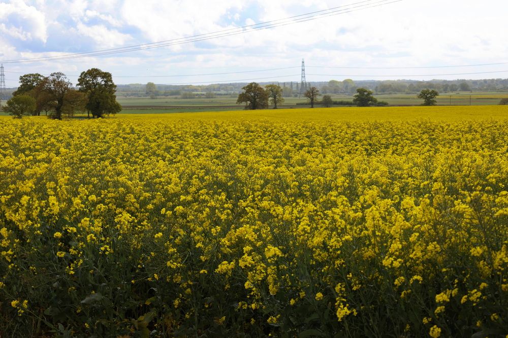 Photograph by Tatiana Serova