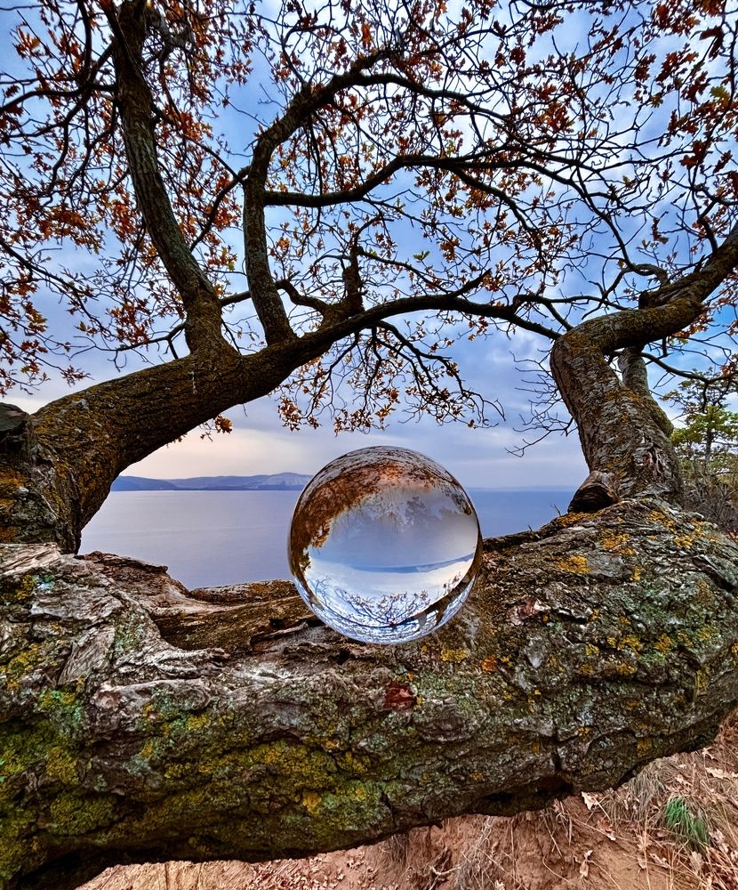 Photograph by Леся Мокринская