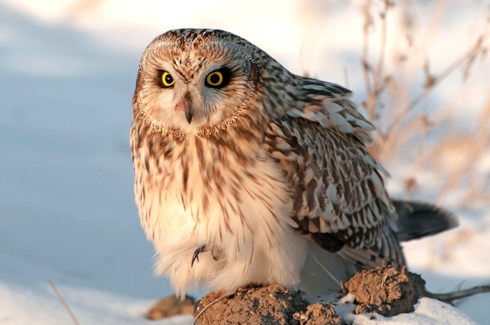 Photograph by константин