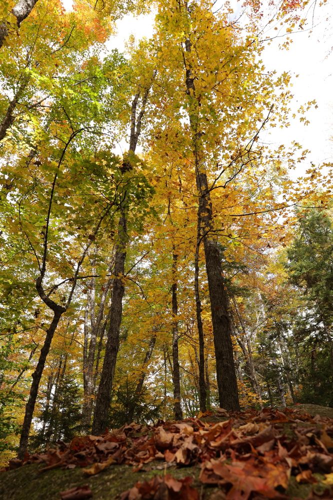 Photograph by Tatiana Serova