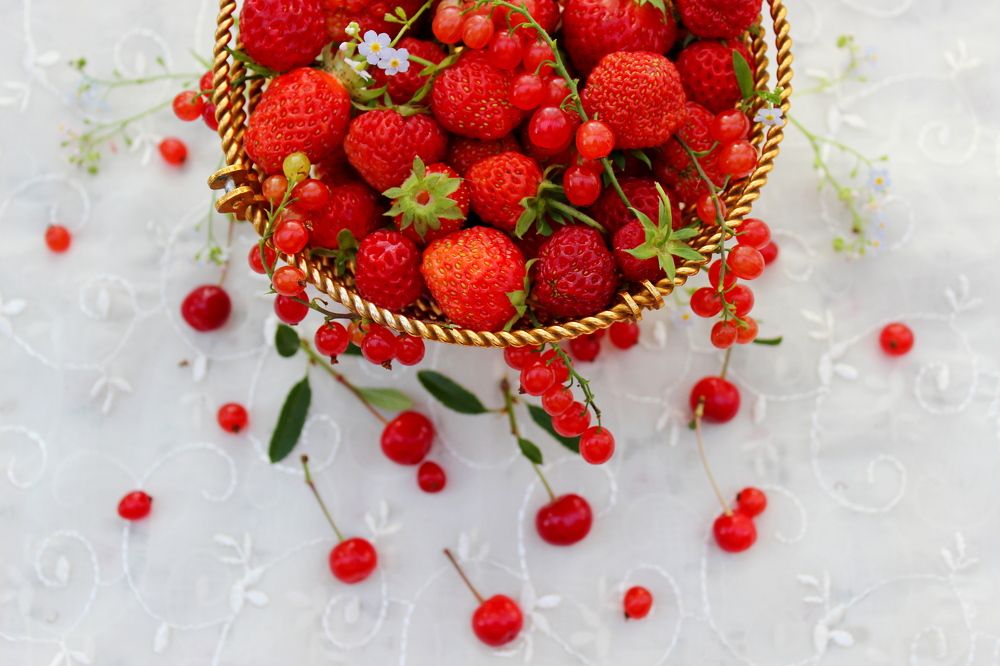 Photograph by Ольга Ситникова