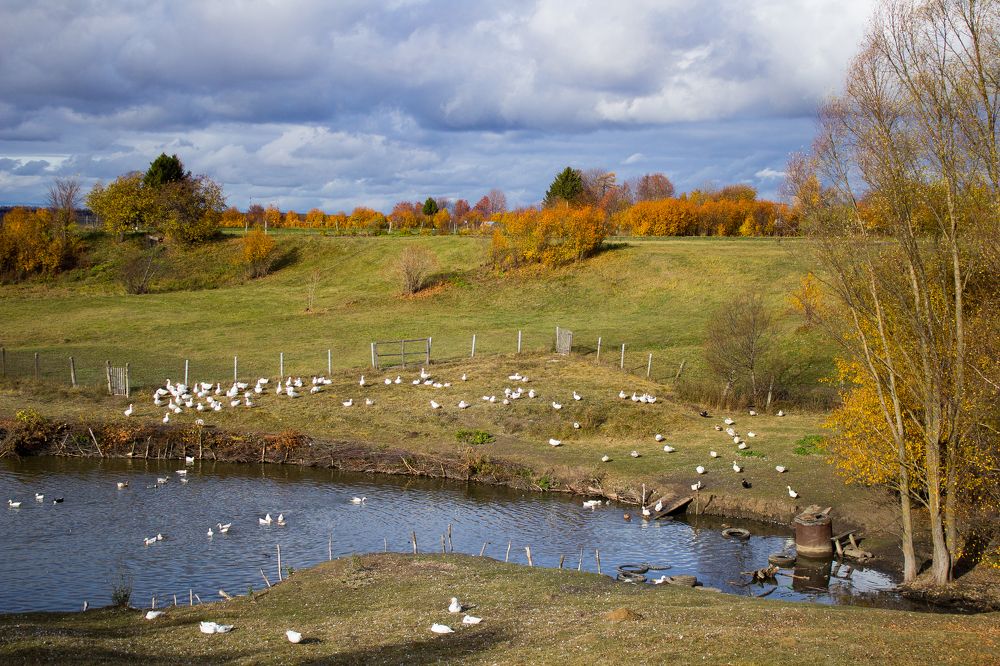 Photograph by Оксана Леонтьева