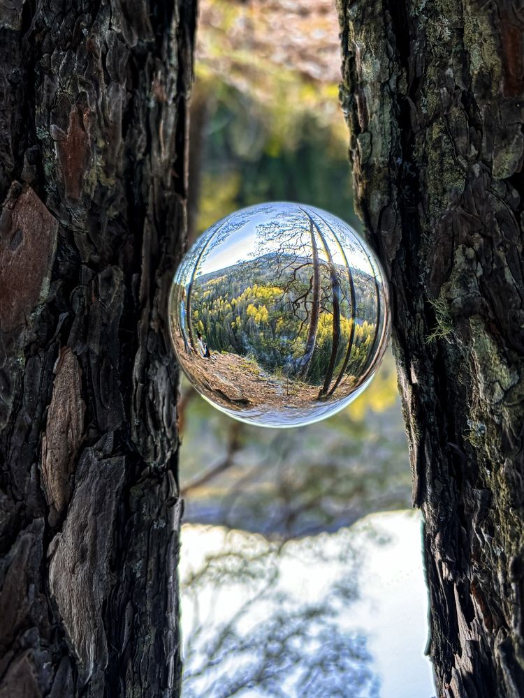 Photograph by Леся Мокринская