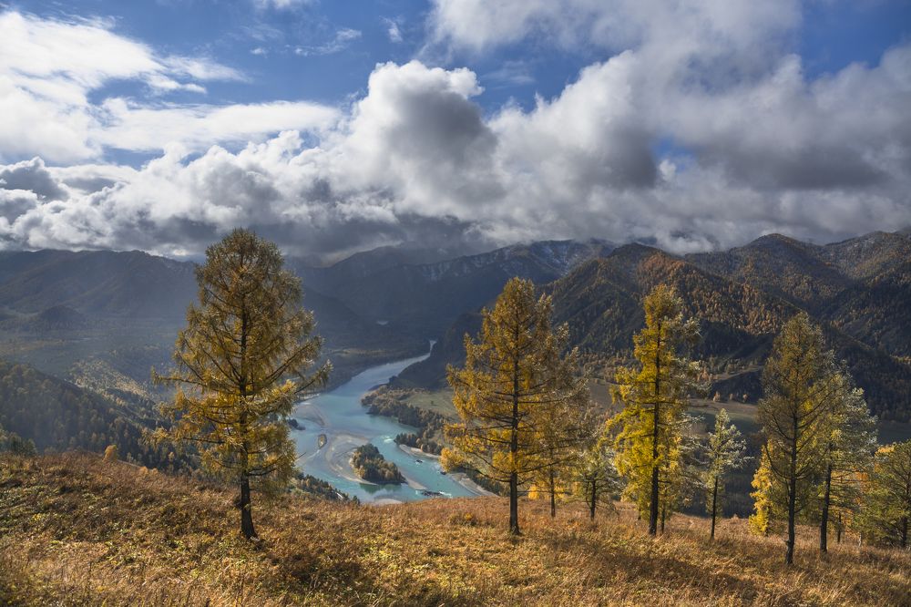 После дождя