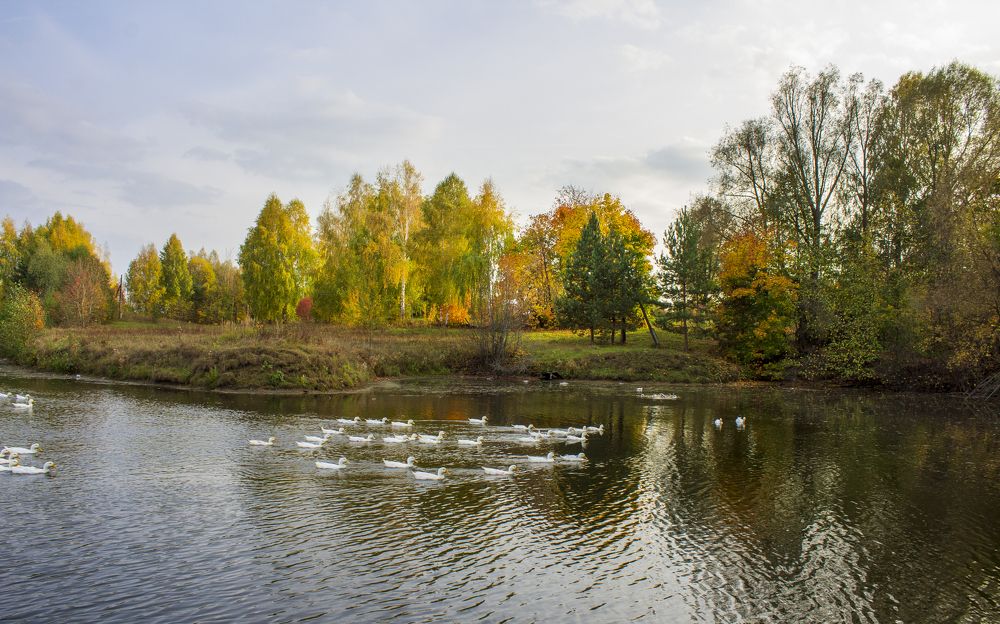 Photograph by Оксана Леонтьева