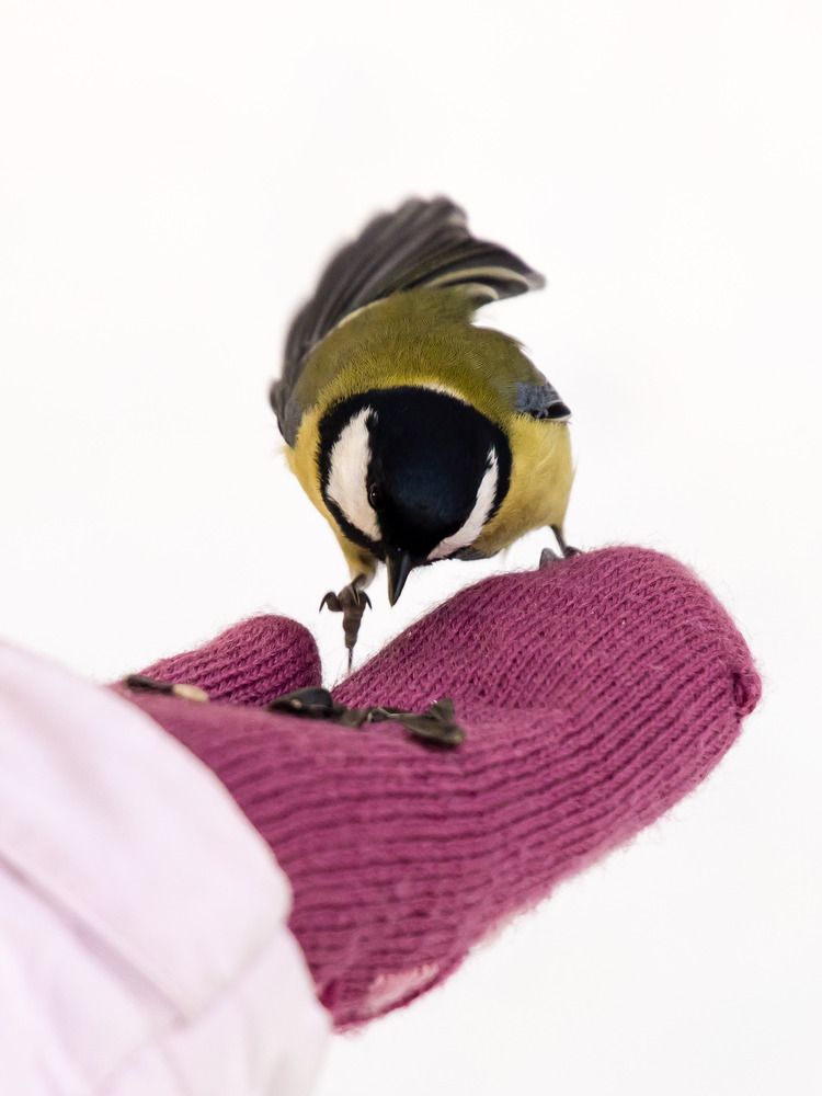 Photograph by Максим Фролов