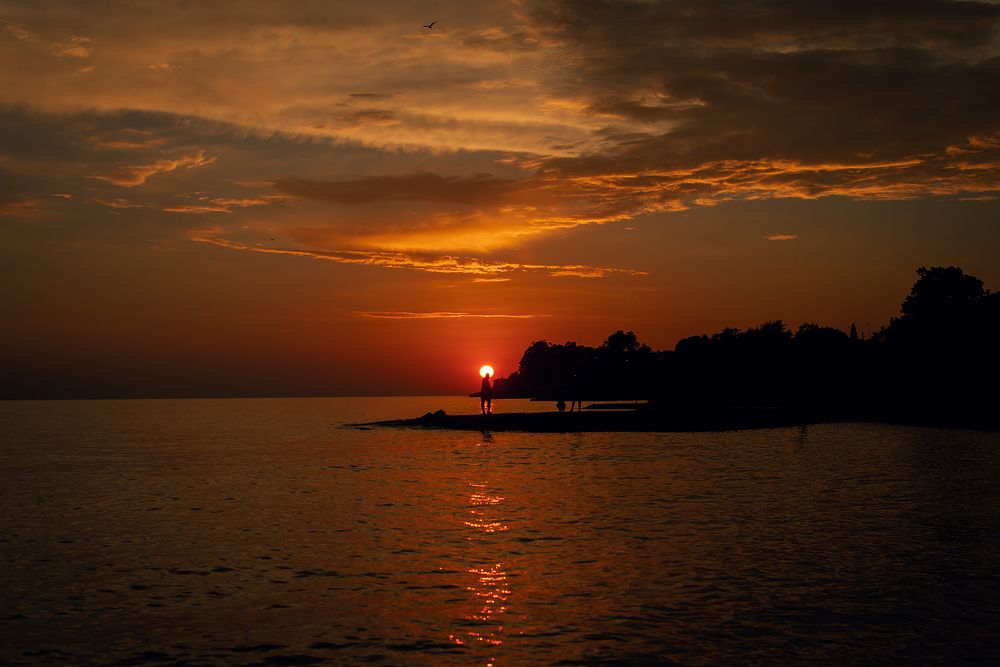 Photograph by 