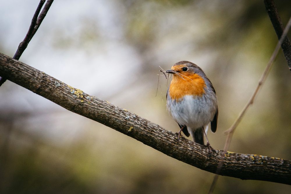 Photograph by Юлия Фомина