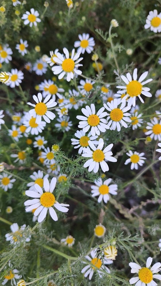 Фотография автора Оксана Антощук