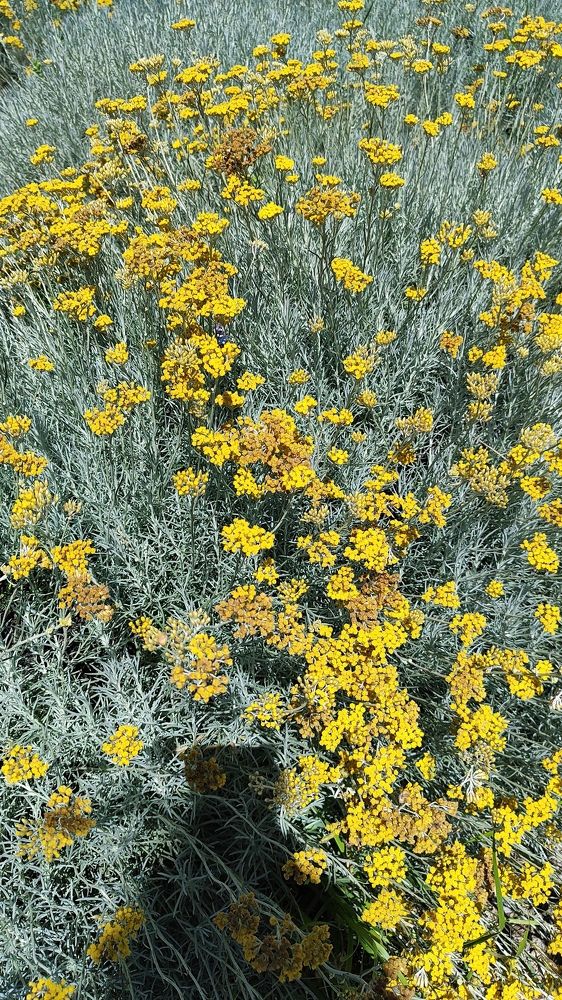 Фотография автора Оксана Антощук