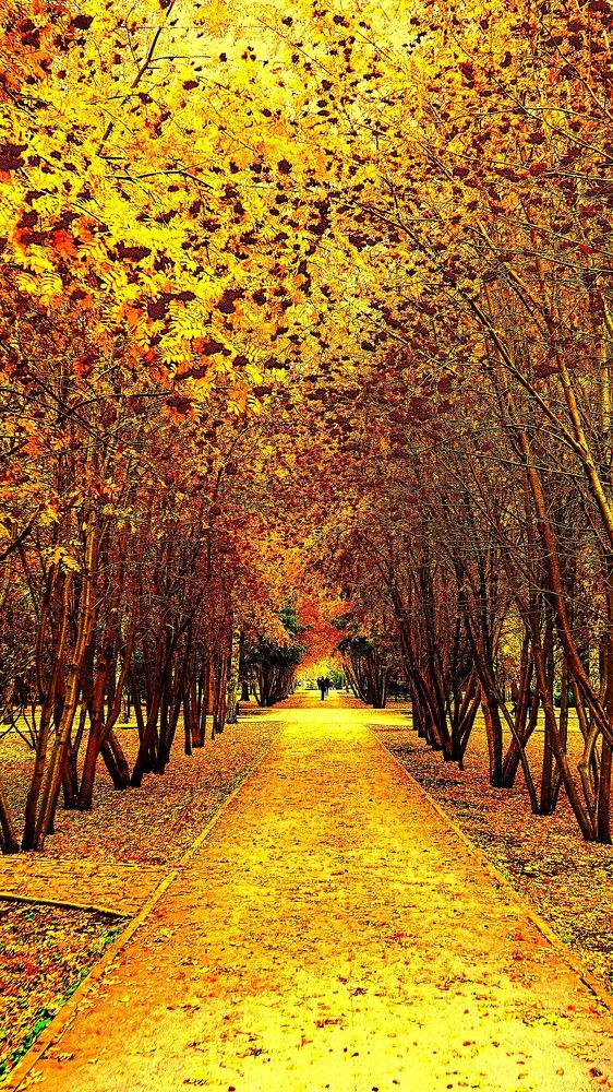 Фотография автора Максим Грибанов