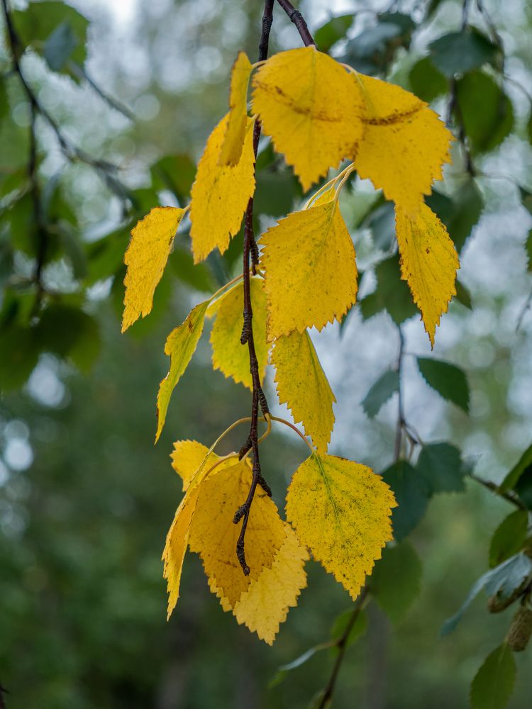 Photograph by Шейко Анна
