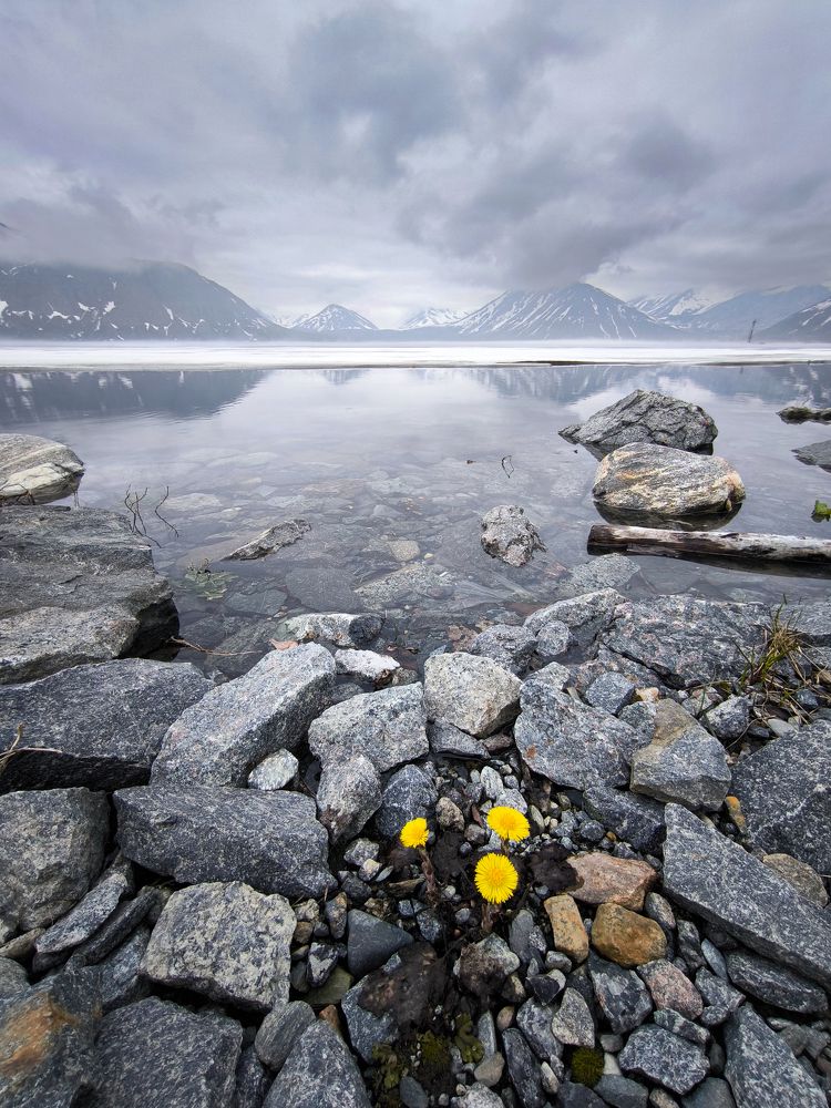 Photograph by Шейко Анна