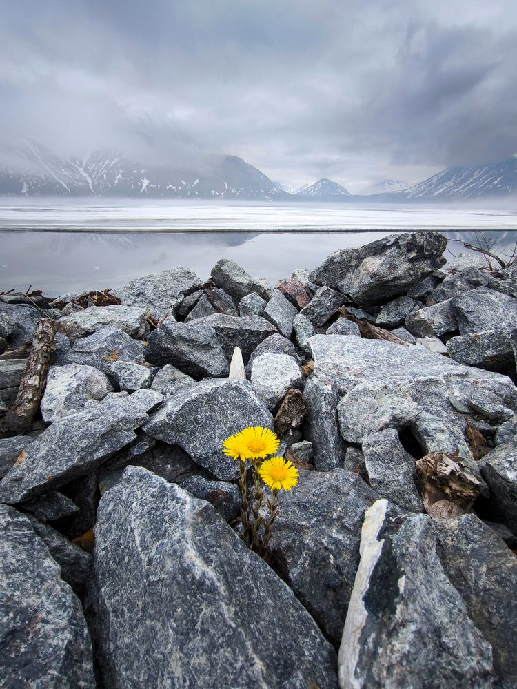 Photograph by Шейко Анна