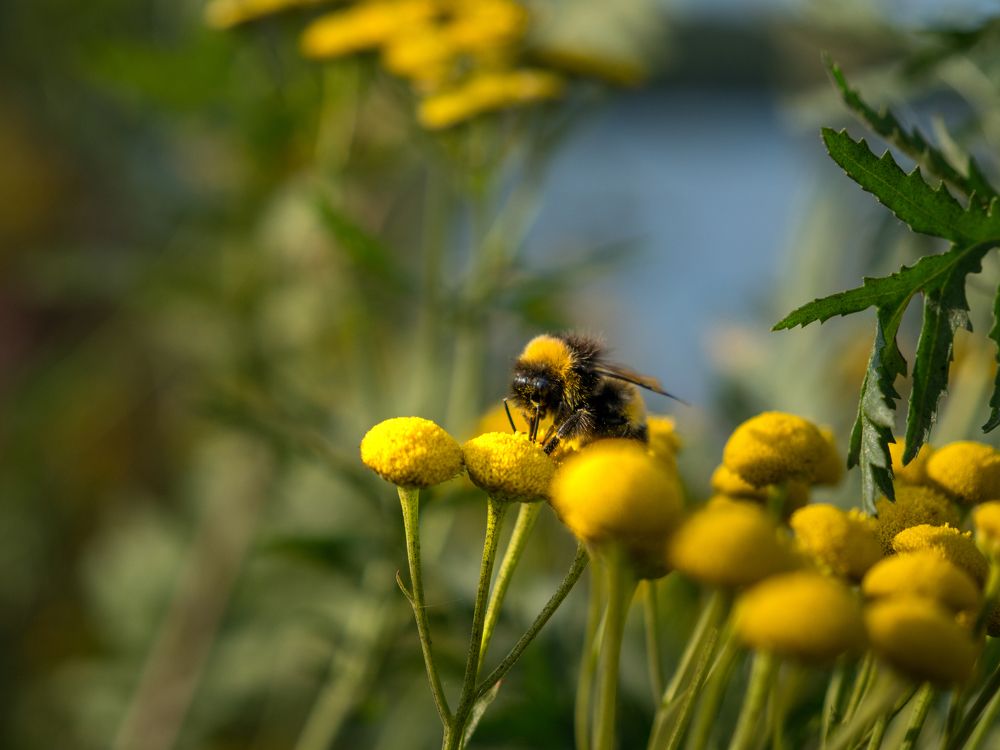 Photograph by Шейко Анна