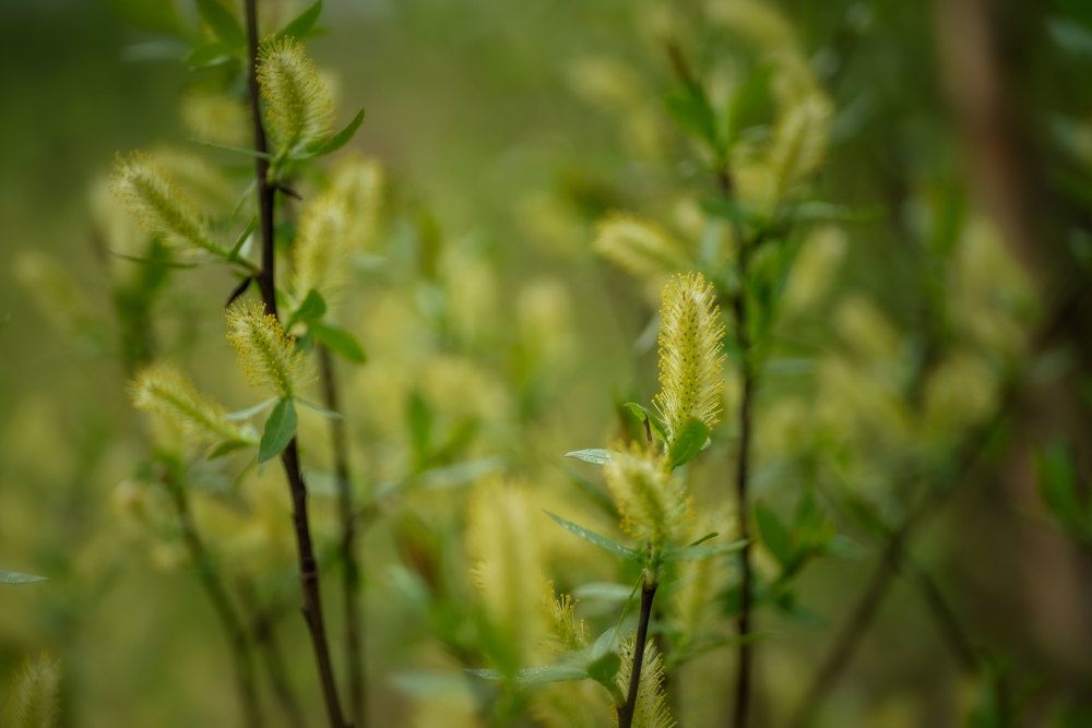 Photograph by Марина Зборацкая
