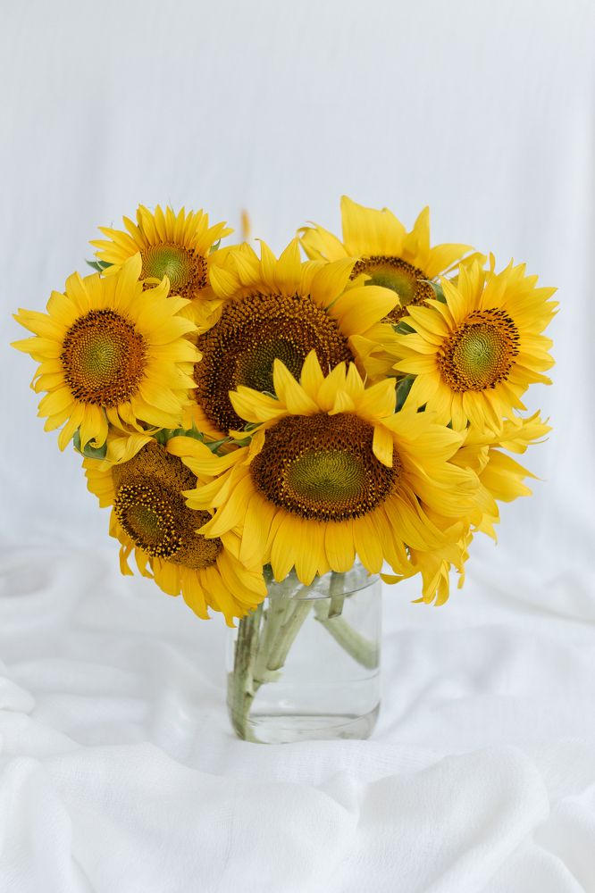 Photograph by Ольга Осинина