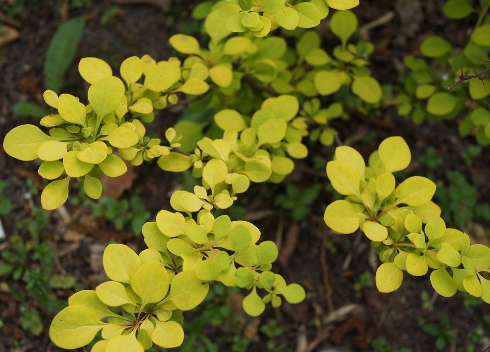 Photograph by Светлана Логинова