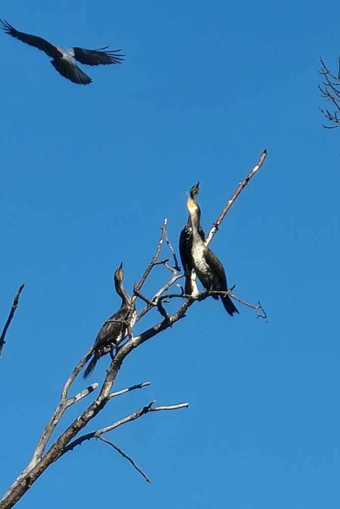Фотография автора Наталья