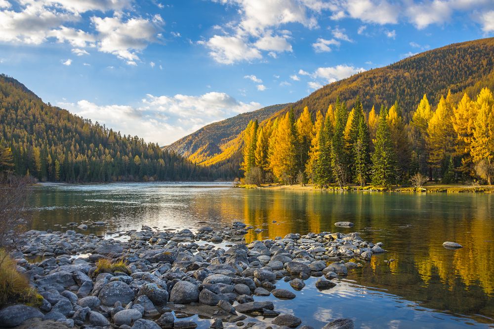 На берегу реки