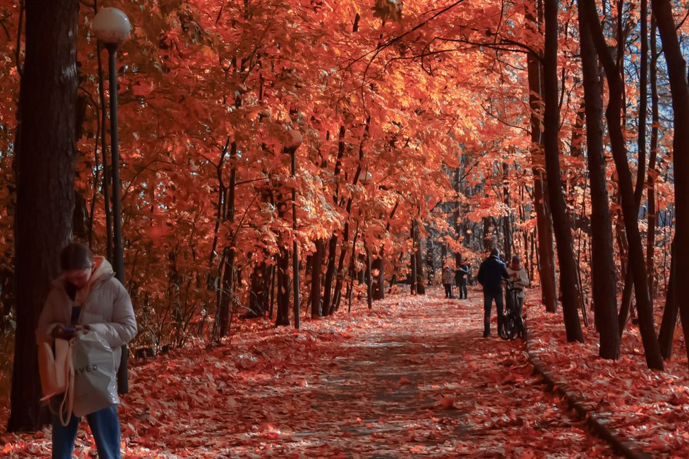 Photograph by Екатерина