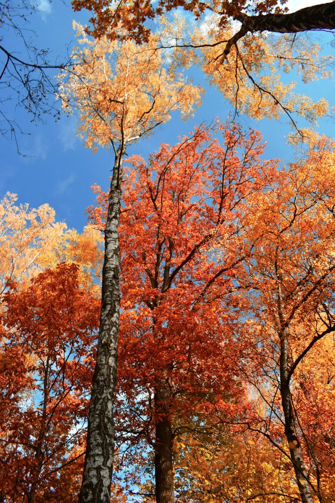 Photograph by Екатерина