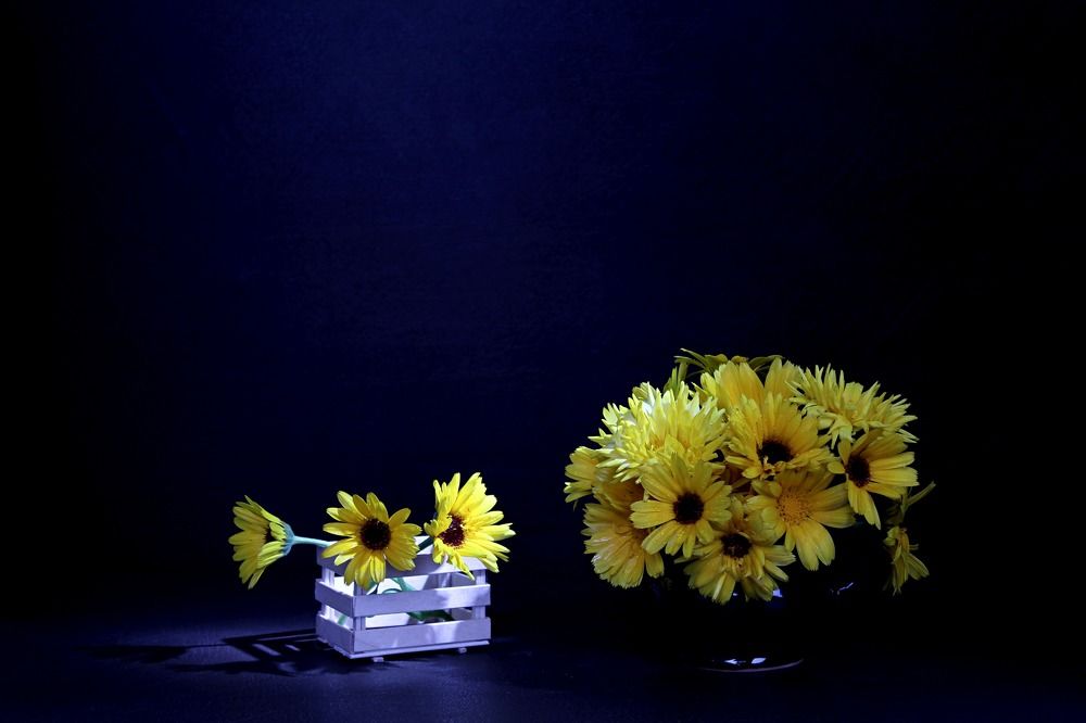 Photograph by Людмила Таерова