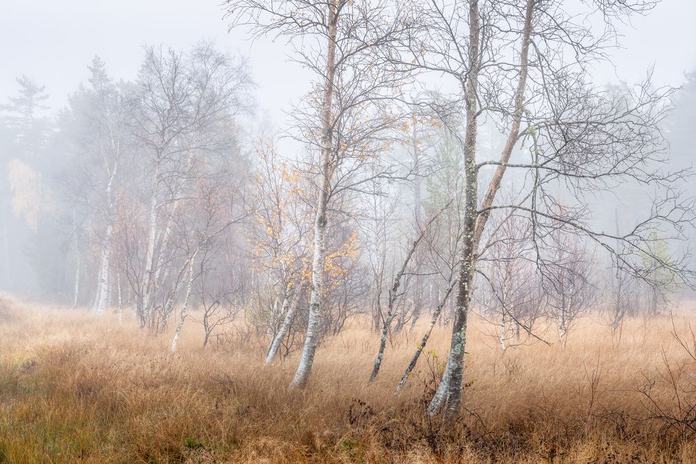 Photograph by Susn Jensen