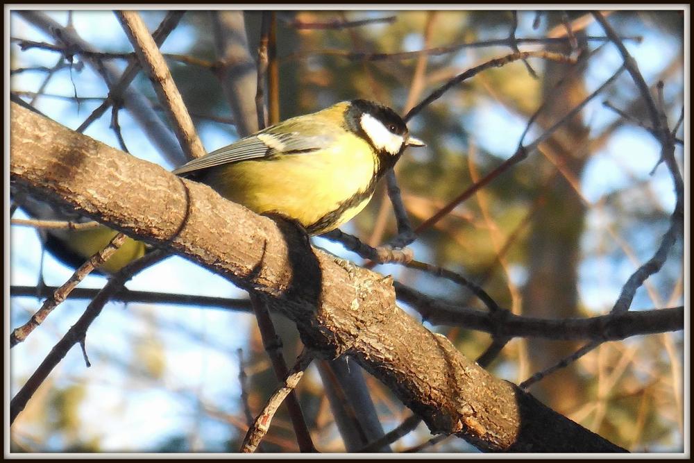 Фотография автора Павел Попов